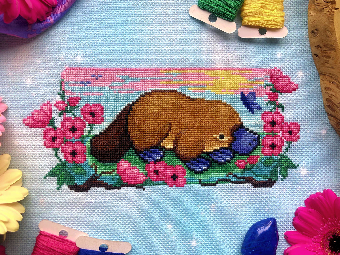 Closeup of Platypus cross stitch pattern, scene surrounded by flowers and bobbins. Colors are bright. Mainly pink, blue, yellow, green, and brown are present. Platypus is facing right, and is surrounded by pink flowers. There is a blue butterfly.